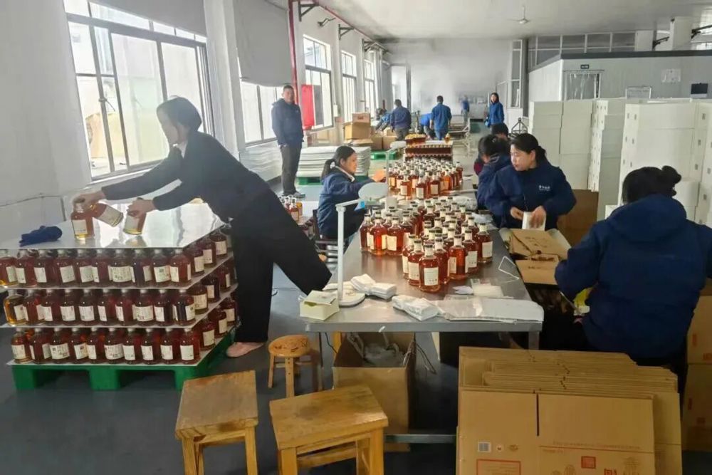 微信图片_2026-03-23_214720_767