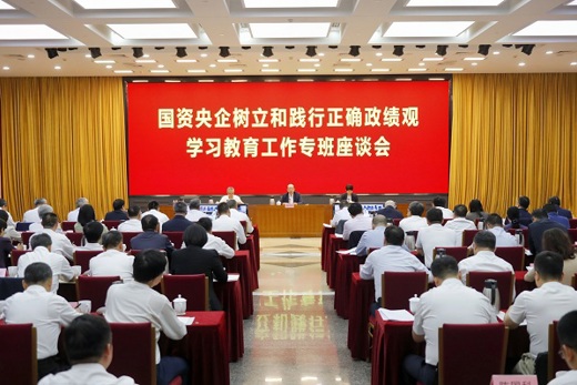 国务院国资委党委召开国资央企树立和践行正确政绩观学习教育工作专班座谈会